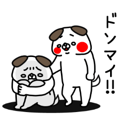 全力いぬ励ます編