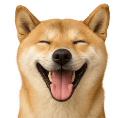 日常用語わんスタンプ