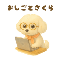 お仕事中のマルチーズのさくら