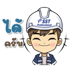 sst professional 1.1