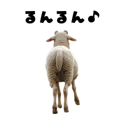 Cute sheep stickers 11