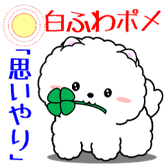 飛び出す！白ふわポメの思いやり