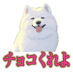 犬味　チョコくれよ