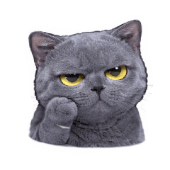 Harry potter_20260411015146