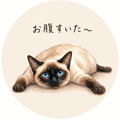 シャム猫のひとこと