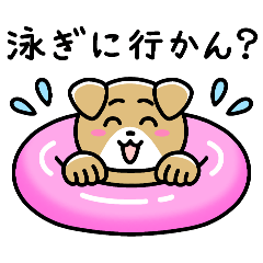 夏の岡山弁おもしろワンコ