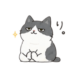 太々しいハチワレの塩対応