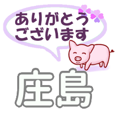 庄島「しょうじま」さん専用。日常会話