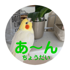 すず♂toろこ♀②