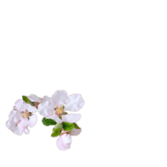 今日のザキオ どうもの巻