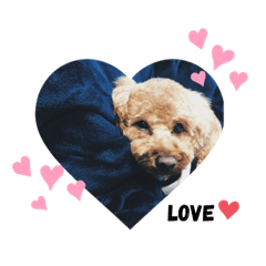 わさびスタンプ。