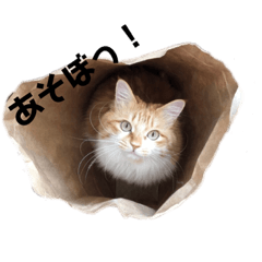 愛猫きなこの日常スタンプ