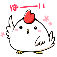 普段使いのニワトリさん