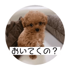 ぼくはクック 3