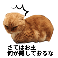 ちょっと渋カワ猫スタンプ