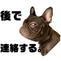 フレブル じゃーん