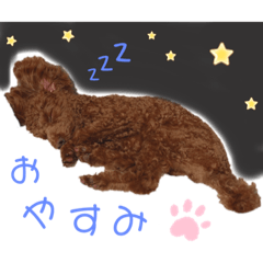 出雲スタンプいち