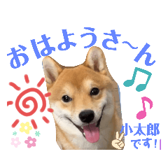 ボストンケンネル  OB会①