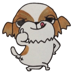 シーズー好き集まれ～