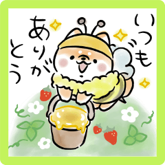 ほんわかしばいぬ・春