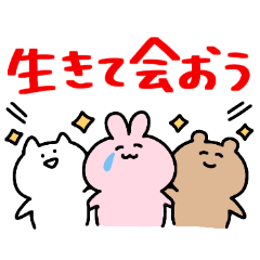 ◯自粛するうさぎ◯