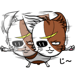 とにかく見てくる仙台弁猫マサムネ