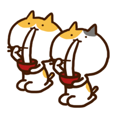 シロとハチとミケ2