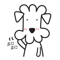 シュナウザーです。その２