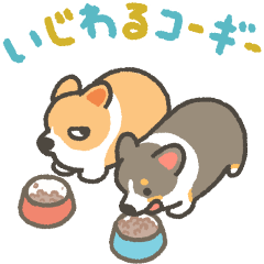 いじわるコーギー