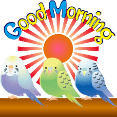 動く！インコトリ尾