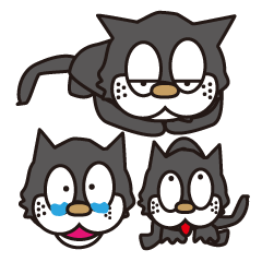 孤高のドラネコ。ラ・ドコーネ。