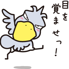 動かない鳥！！ハシビロコウの親分②