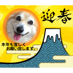 あけおめ♡ミミ &ふぅ