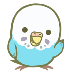 セキセイインコ 敬語のセイコさん