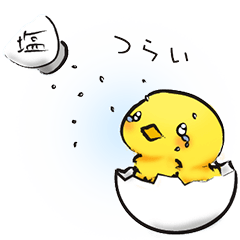 まぁるいひよこ