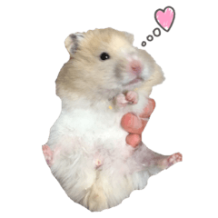 白黒家のハムスターたちスタンプ