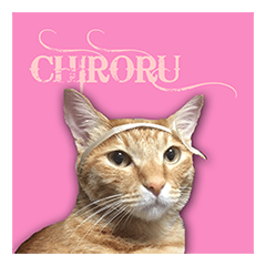 猫のチロルちゃんスタンプ