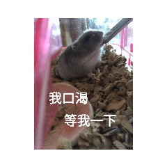 yuanyuan_20210405103447