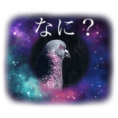 辛辣なはとっぴ