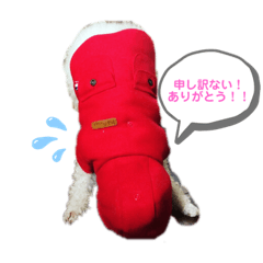 佐野家の子供達