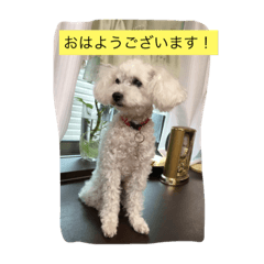 かわい子チャンネル