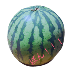 たべものさんちち。