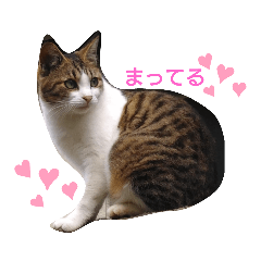 今日も楽しく行こう