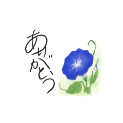 朝顔であいさつ