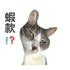 autumn_20210803234938