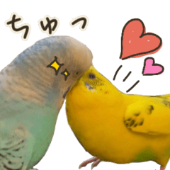 インコのれもん&みんと 2