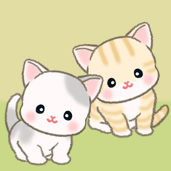 よちよちベビーにゃんこの毎日