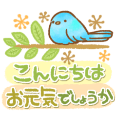 鮮やかな青い鳥★変わらぬ日常★