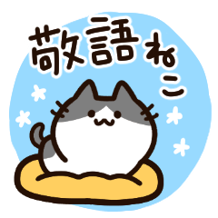 毎日使える！敬語！ハチワレ黒白猫ちゃん