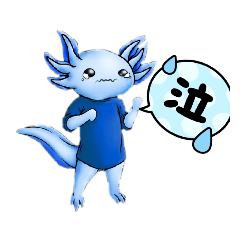 ウーパールーパー　日常